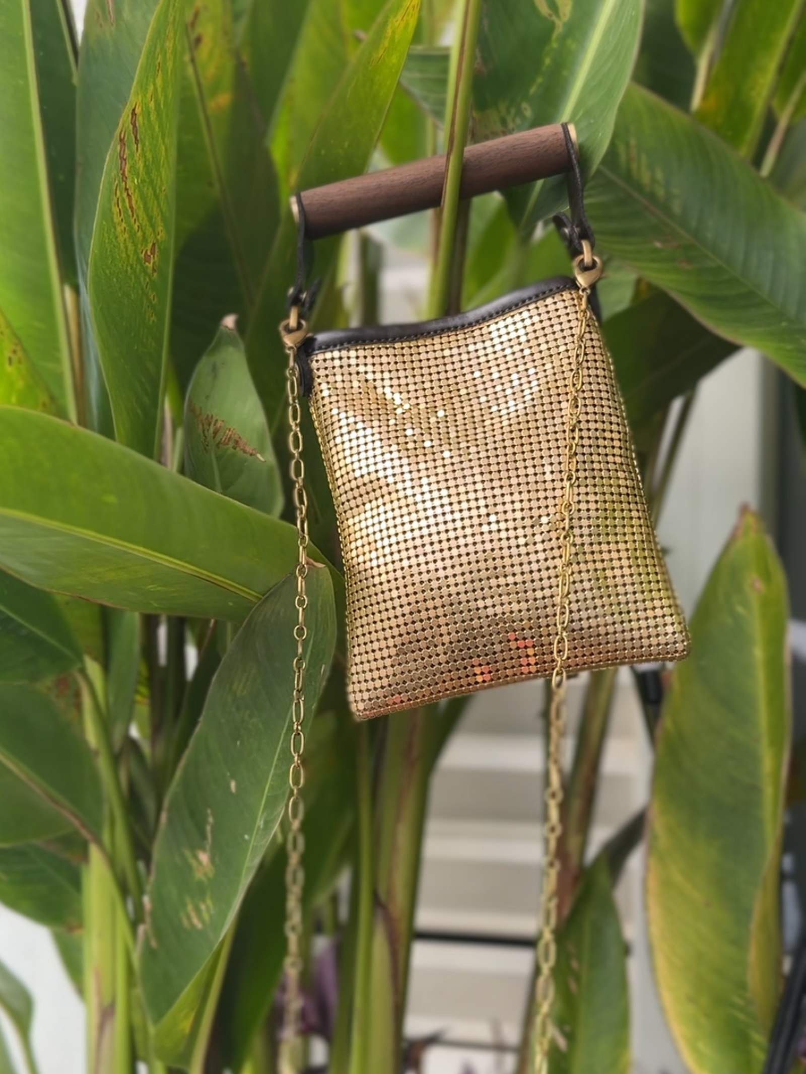 Disco Potli rachanareddy